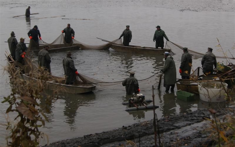 Jeden z prvních výlovů se uskuteční ve Vraníně