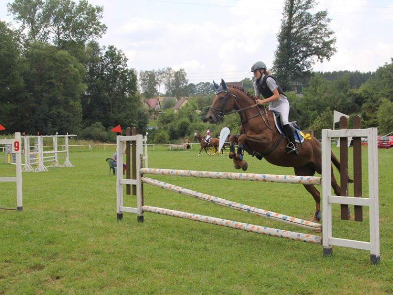 obrázek: Jezdecká sezona v Brodě v plném proudu