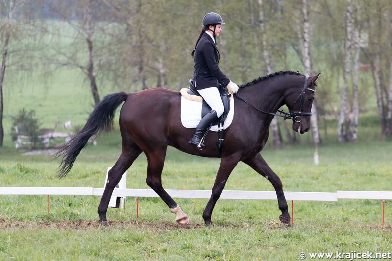 obrázek: Jezdecké závody o víkendu v Humpolci