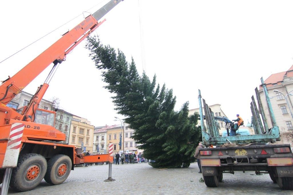 Jihlava má vánoční strom z Dušejova, už je na místě