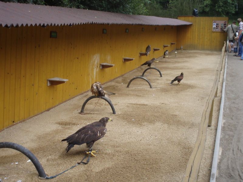 obrázek: Jihlavskou ZOO čeká velká proměna