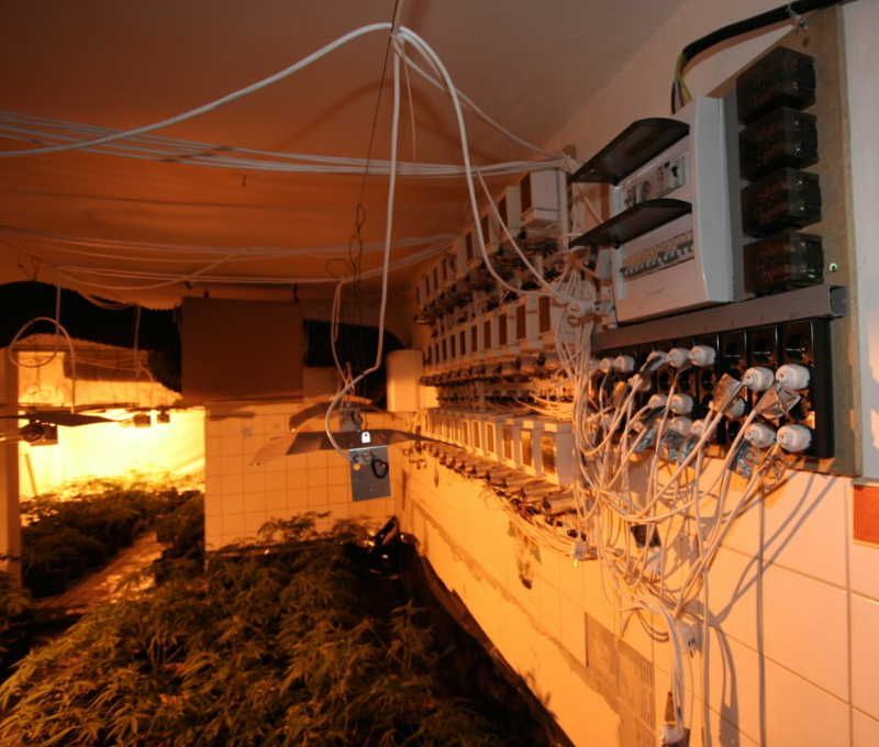 Jihlavští kriminalisté odhalili pěstírnu konopí v Třešti