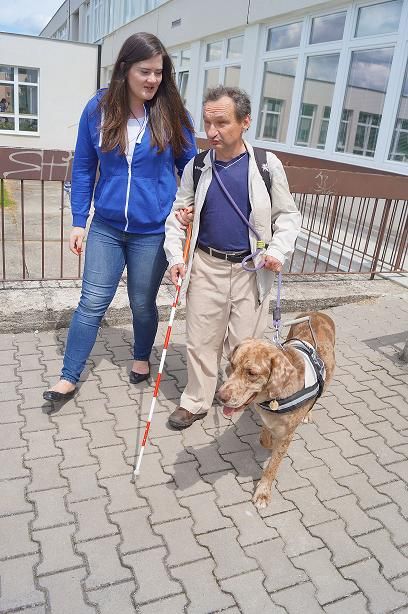 obrázek: Jihlavští studenti si ověřovali teoretické zkušenosti v praxi