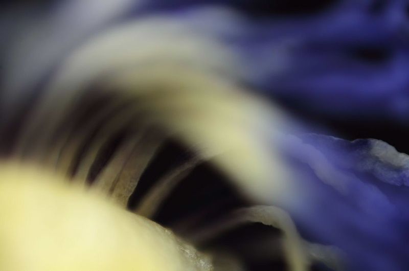 obrázek: Jiné taje fotografie (z)jiného světa v Novém Městě