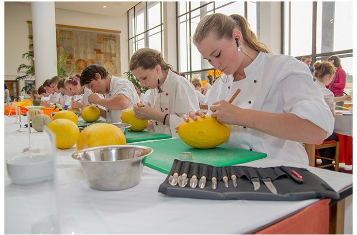 obrázek: Junior show 2015 a Melounový  šampionát v Třebíči