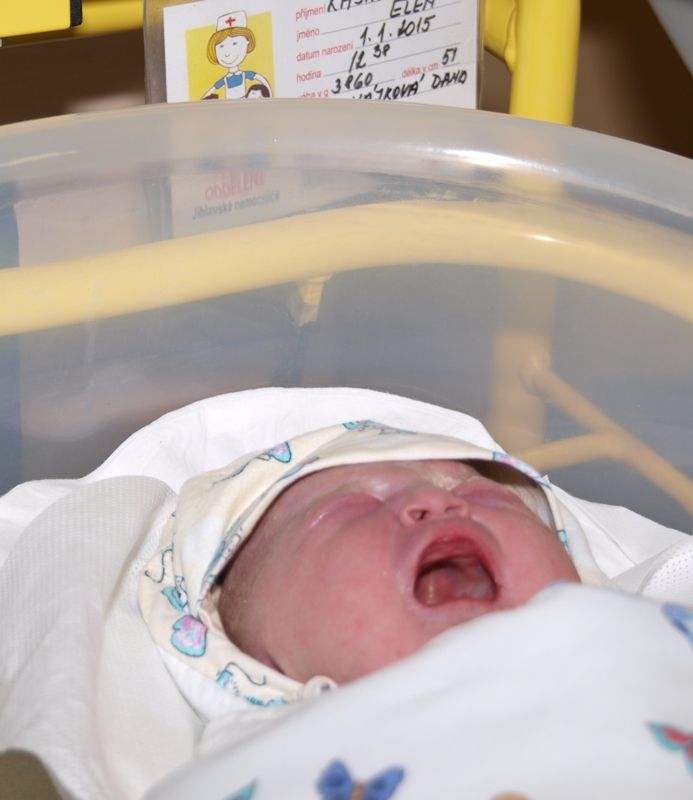 /uws_images/firmy/083199/clanky/karolinka-ze-zdarska-prvnim-narozenym-v-brodske-nemocnici-v-roce-2015/000001_h.jpg