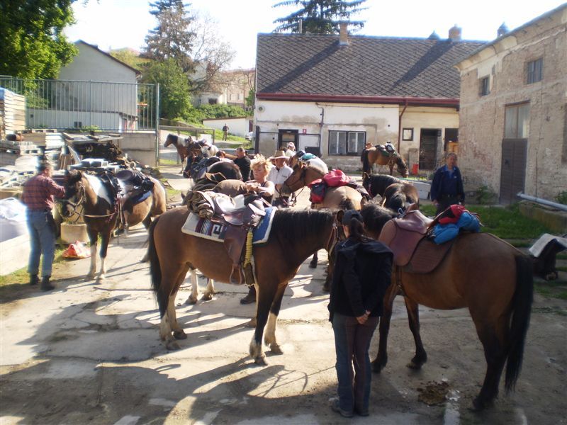 obrázek: Koně prošli Jaroměřicemi nad Rokytnou a směřovali do Rakouska