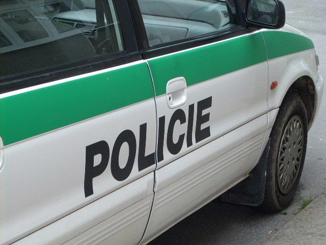 Koně utekli z ohrady a vběhli pod autobus