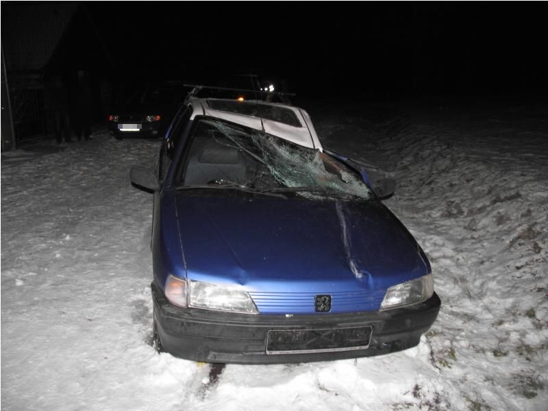 Koně zavinili v prosinci na Jihlavsku dvě dopravní nehody