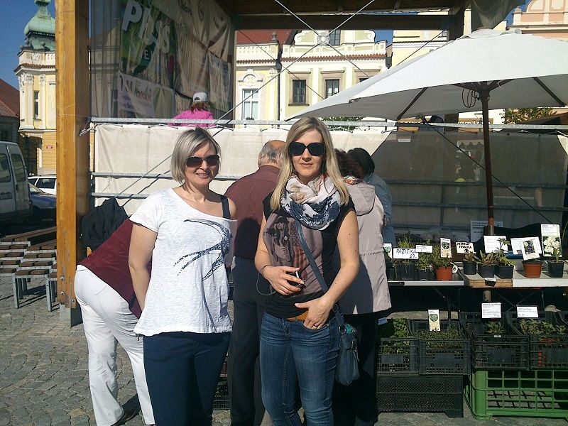 Koudelův talíř opět v Brodě