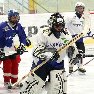 Kraj podpoří prázdninovou Mezinárodní hokejovou školu