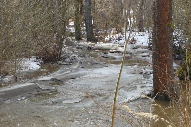 Kry komplikují situaci na vodních tocích Vysočiny, pomáhají hasiči