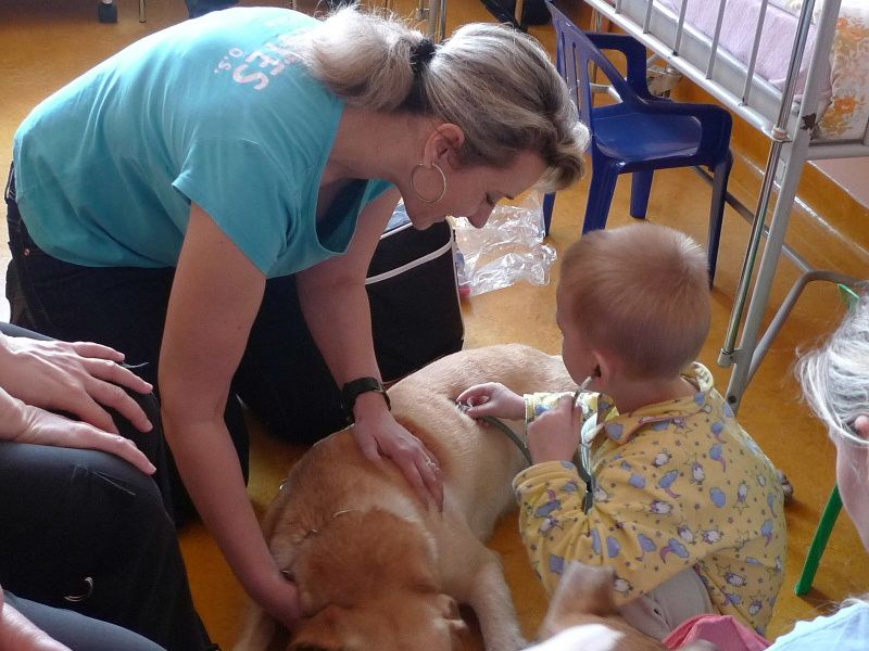 Labradorka Sára a kolie Meggy  potěšily děti v brodské nemocnici
