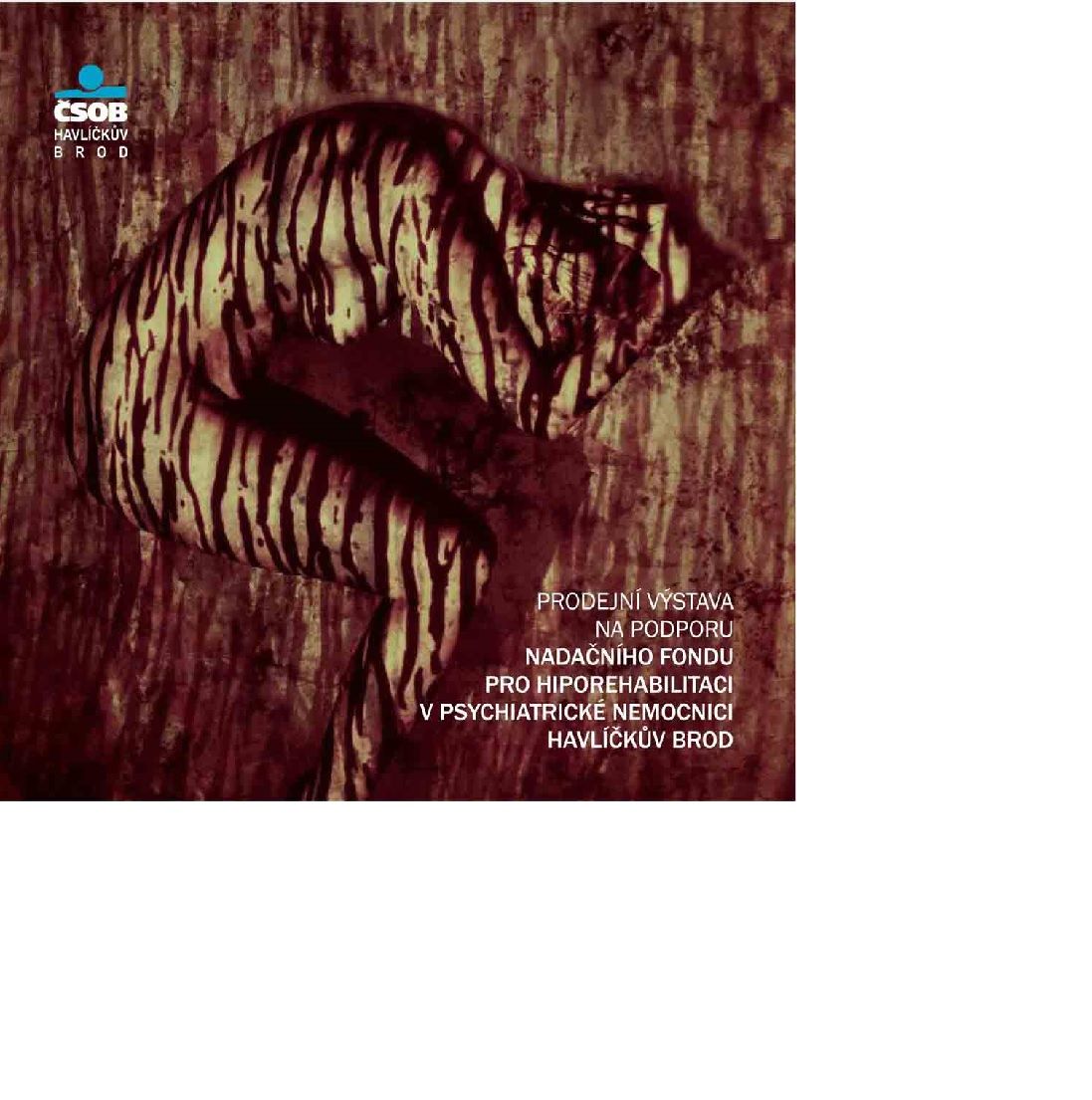 Ladné křivky a svět detailů v brodské ČSOB