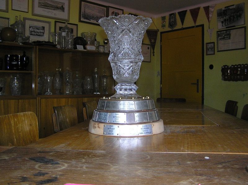 obrázek: Letní házenkářský turnaj mužů v Humpolci