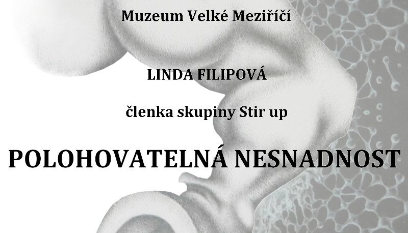 obrázek: Linda Filipová představí svoji tvorbu v meziříčském muzeu