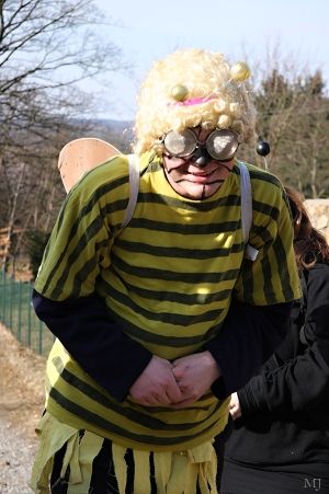 Lipnice nad Sázavou ožila masopustním průvodem