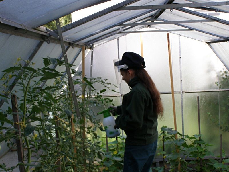 Malá řemesla PLUS: Klademe velký důraz na praxi