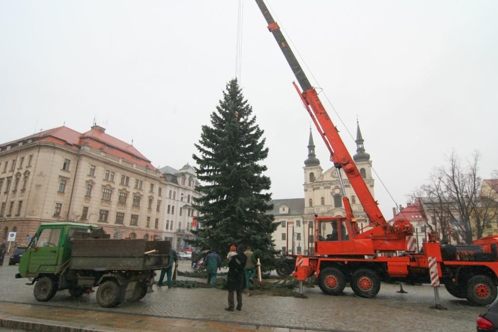 Masarykovo náměstí v Jihlavě zdobí vánoční strom