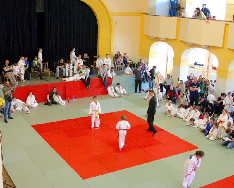 obrázek: Medaile pro třebíčské judisty ze Žďáru