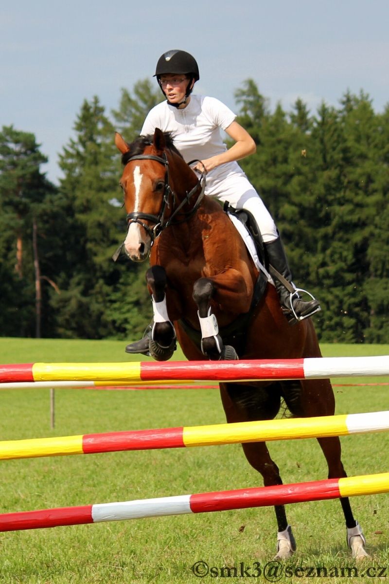 Memoriálu Dalibora Sýkory vévodila humpolecká Hana Moravcová s Emmou