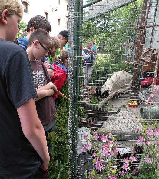 obrázek: Měřínští žáci navštívili svoje zvířecí kamarády v třebíčském útulku
