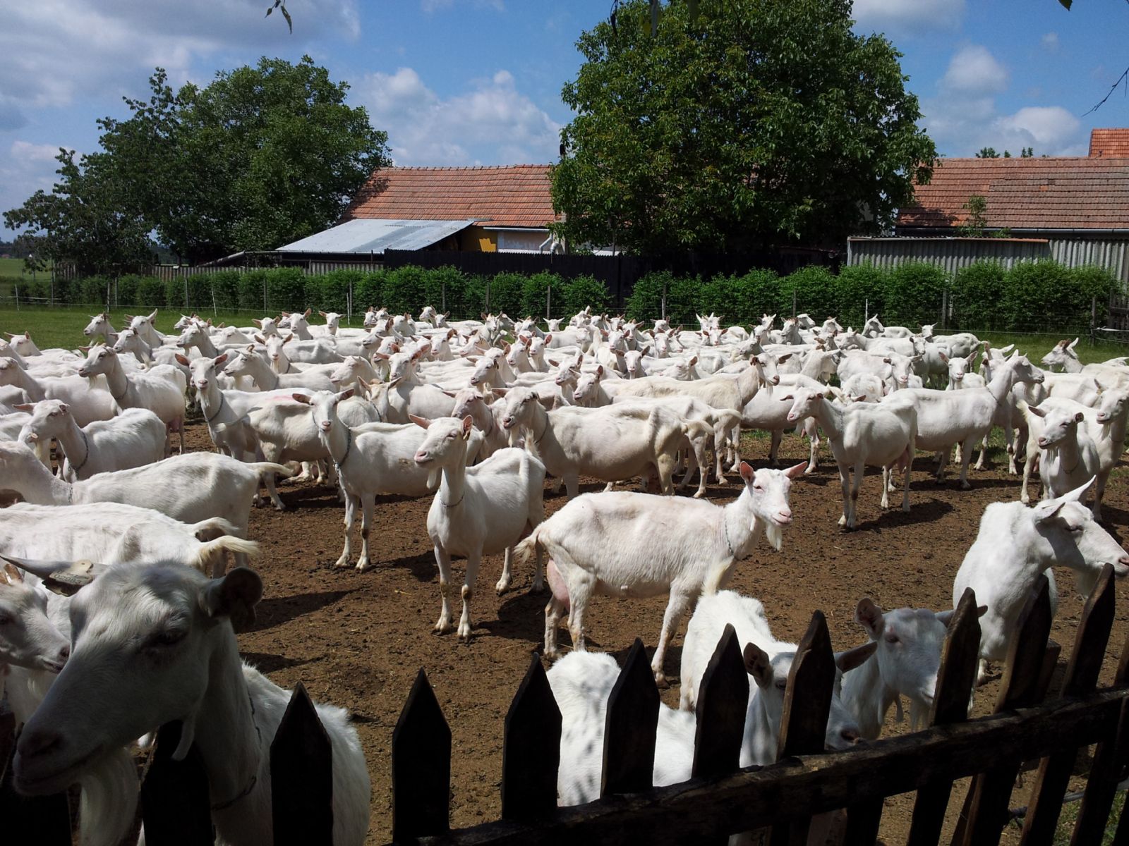 Měsíc biopotravin na Biofarmě DoRa