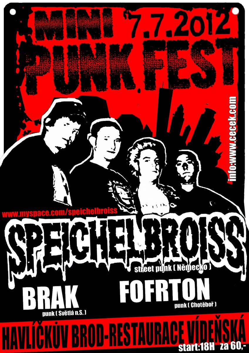 obrázek: Mini punk fest ve Vídeňské