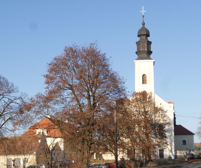 Misionáři zavítají do Kdousova a na Velký Újezd