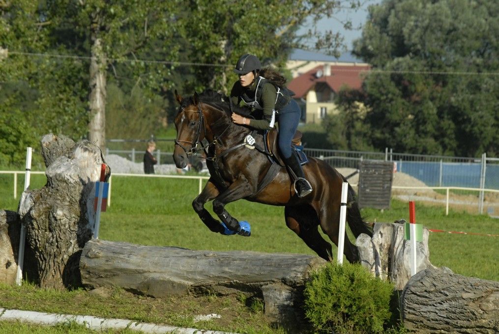 Mistrovství ČR ve všestrannosti o víkendu v Humpolci