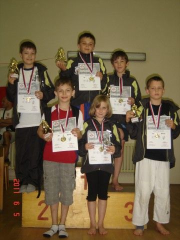 Mladí žďárští judisté byli na Bushi Cupu neporazitelní. Přivezli šest zlatých