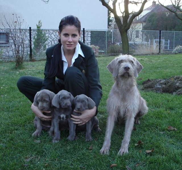 Myslivost není na Vysočině jen koníčkem mužů