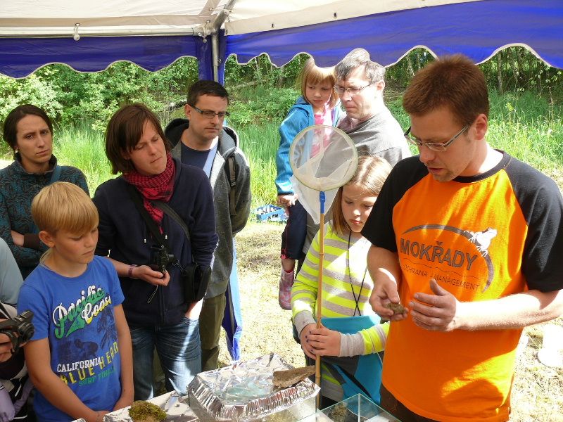 obrázek: Na Jihlavsku vyrazili za žábami
