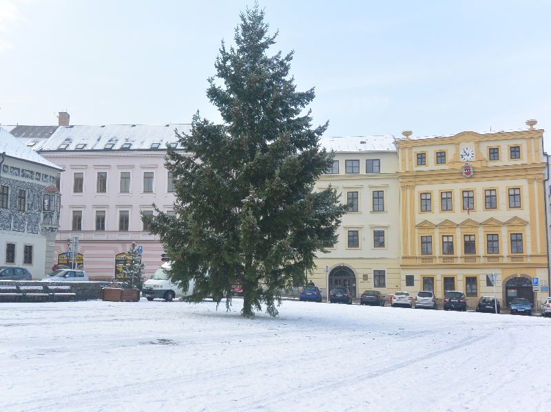 Na Karlově náměstí v Třebíči už stojí vánoční strom