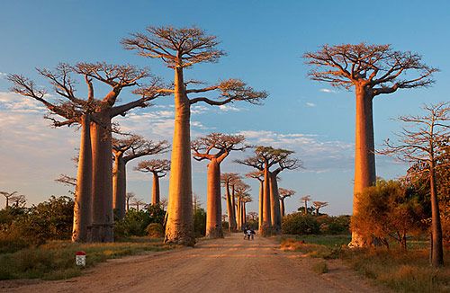 Na Madagaskar s Martinem Loewem v Brodě