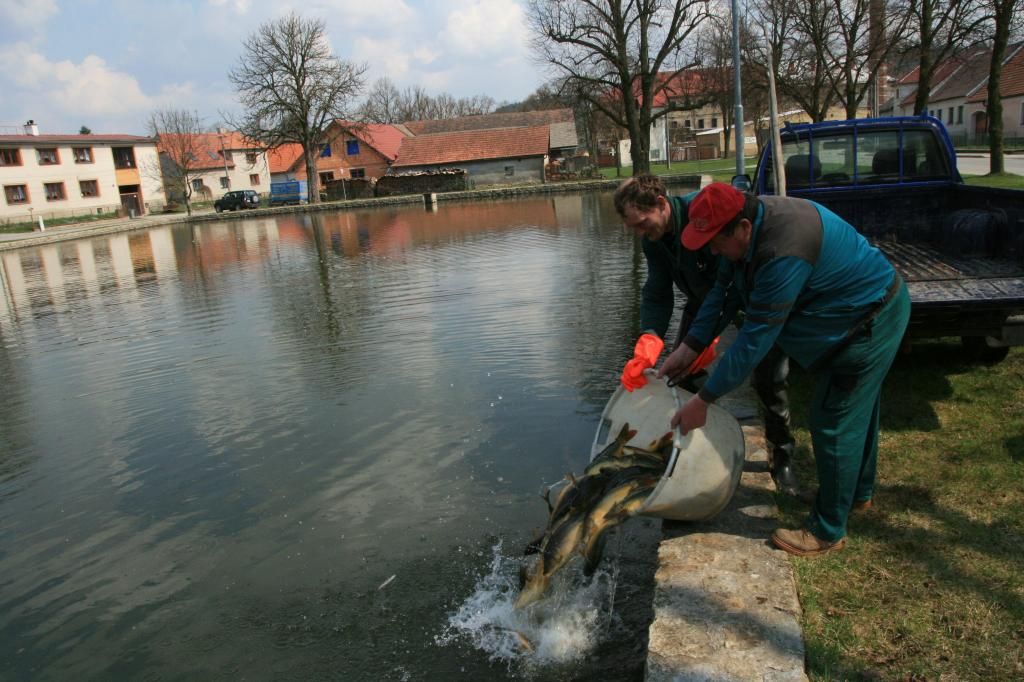 Na ryby v neděli do Hodic