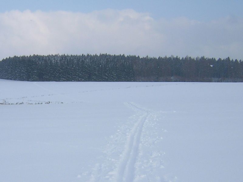 Na Třebíčsku můžete vyrazit na běžky