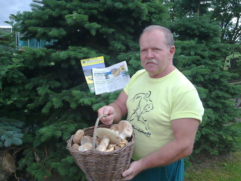 obrázek: Na Třebíčsku rostou houby