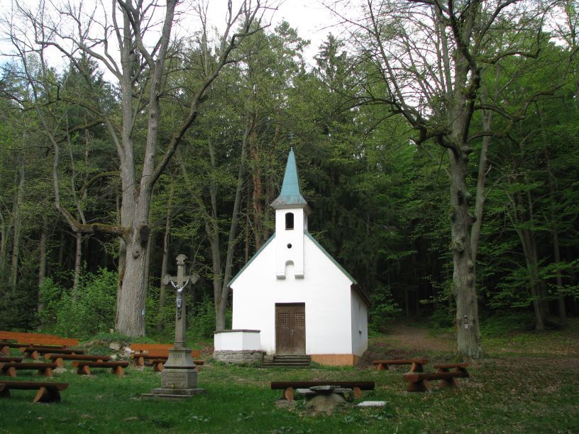 Na Vysočině hledají nejkrásnější studánku