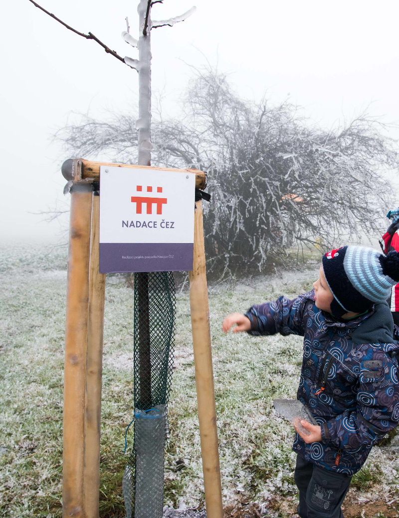 obrázek: Nadace ČEZ pomohla v Koněšíně obnovit alej