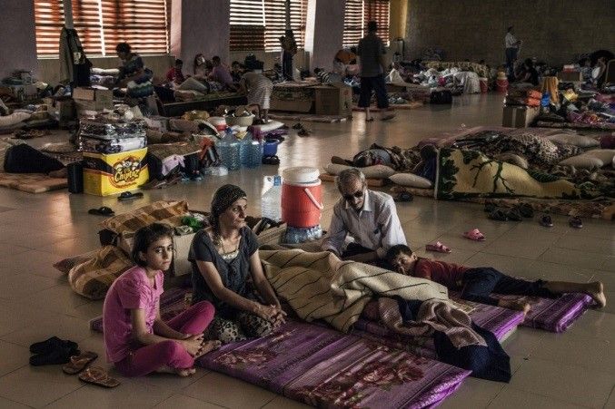 Nadační fond Generace 21: Překlad byl nepravdivý