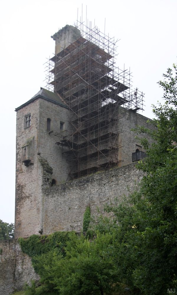 Nejen kavky a holubi, ale i netopýři