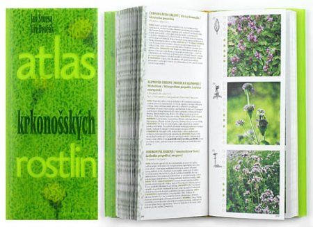Nejkrásnější knihy letošního Podzimního knižního veletrhu jsou na světě