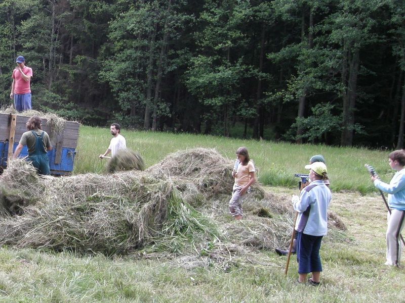 Nekupujte pozemek na Měsíci, kupte louku na Vysočině!