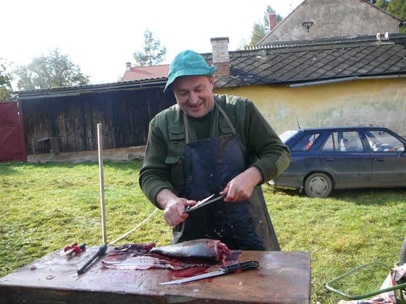 Netradiční výlov rybníka v Hornicích