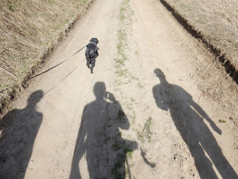 obrázek: Neváhej a choď hlásí rekordní účast