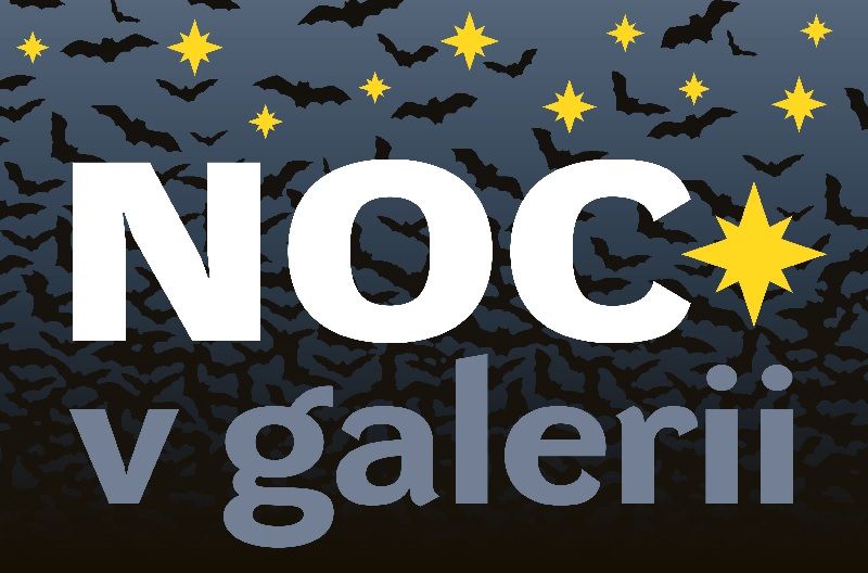 Noc v galerii v Brodě