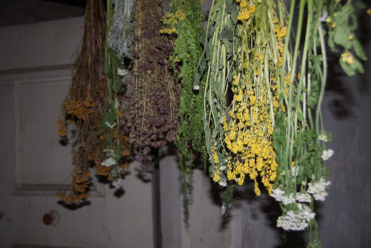 obrázek: Noční prohlídky na zámku v Brtnici