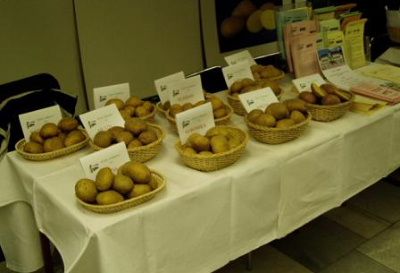 O bramborách v Oudoleni