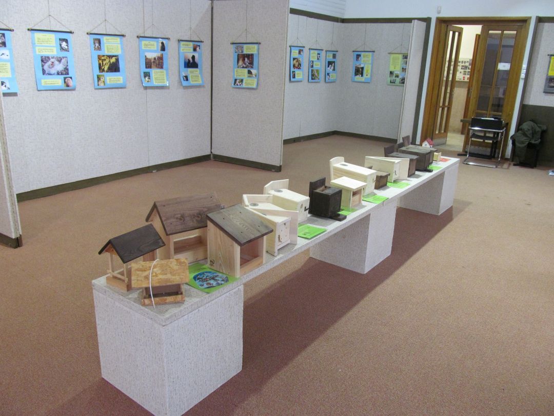 obrázek: O sově, žábě a ptačí budce v Humpolci